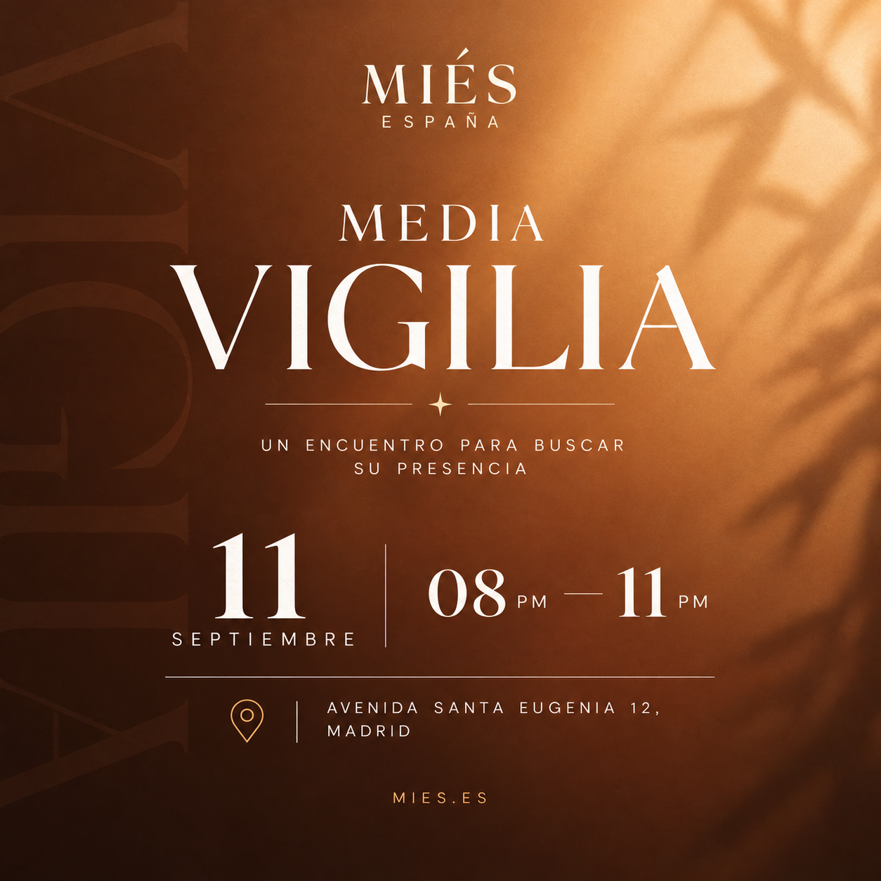 Media Vigilia